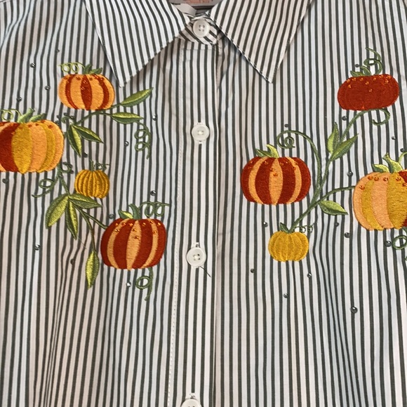 Fall Pumpkins Embroidered Sequins Button Down Top - Picture 5 of 16